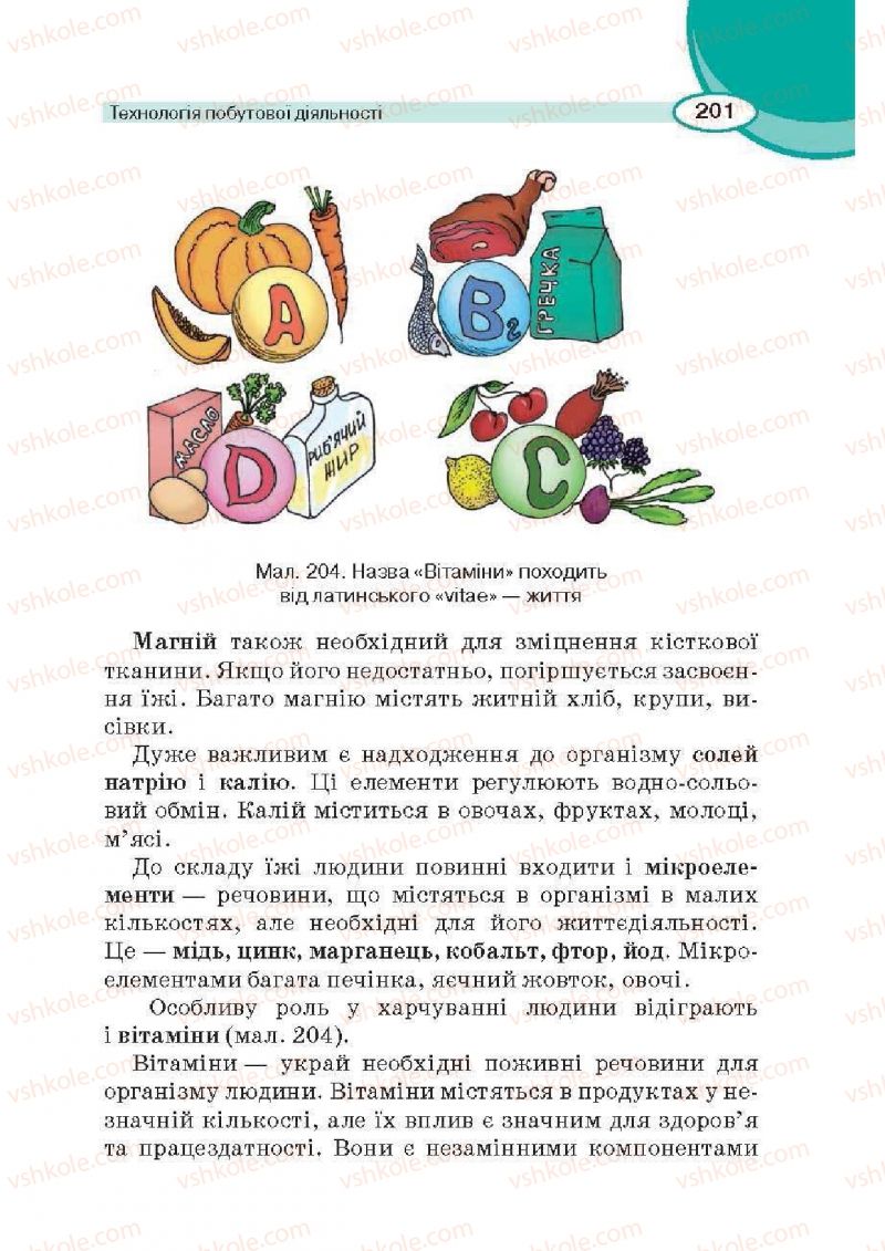Страница 201 | Підручник Трудове навчання 6 клас В.К. Сидоренко, Д.В. Лебедев, А.М. Гедзик 2014 Для хлопців