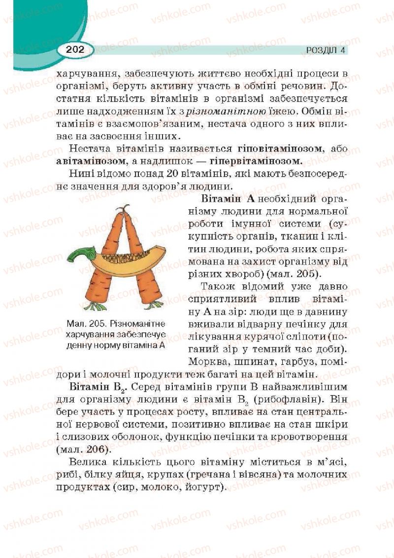 Страница 202 | Підручник Трудове навчання 6 клас В.К. Сидоренко, Д.В. Лебедев, А.М. Гедзик 2014 Для хлопців