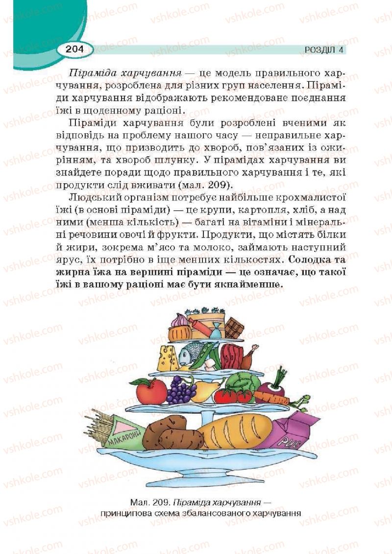 Страница 204 | Підручник Трудове навчання 6 клас В.К. Сидоренко, Д.В. Лебедев, А.М. Гедзик 2014 Для хлопців