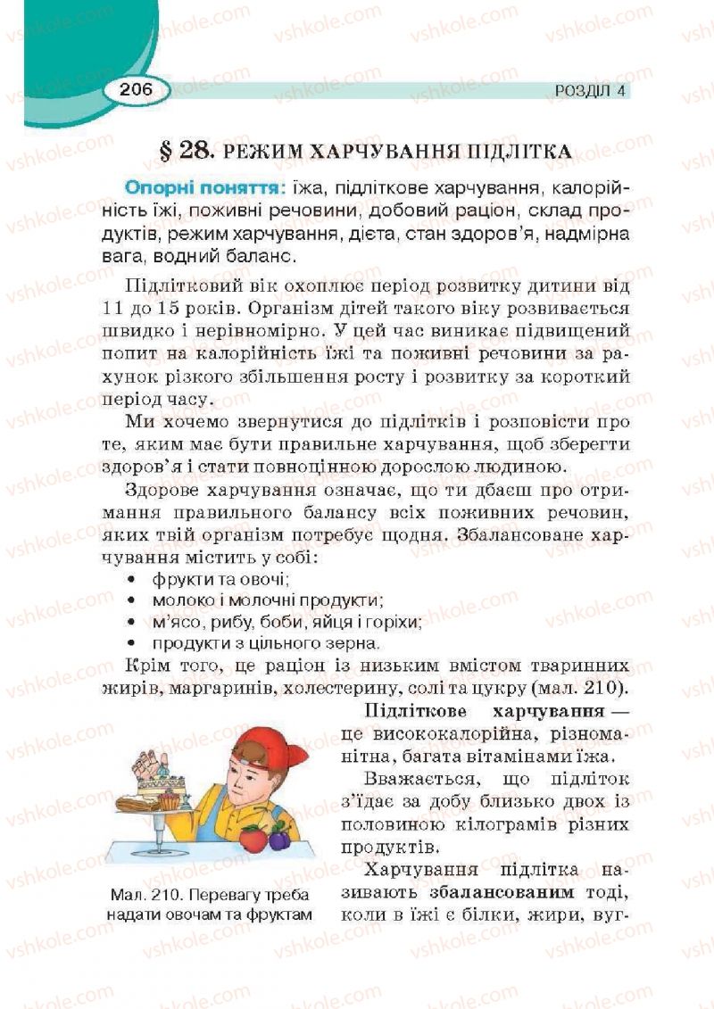 Страница 206 | Підручник Трудове навчання 6 клас В.К. Сидоренко, Д.В. Лебедев, А.М. Гедзик 2014 Для хлопців