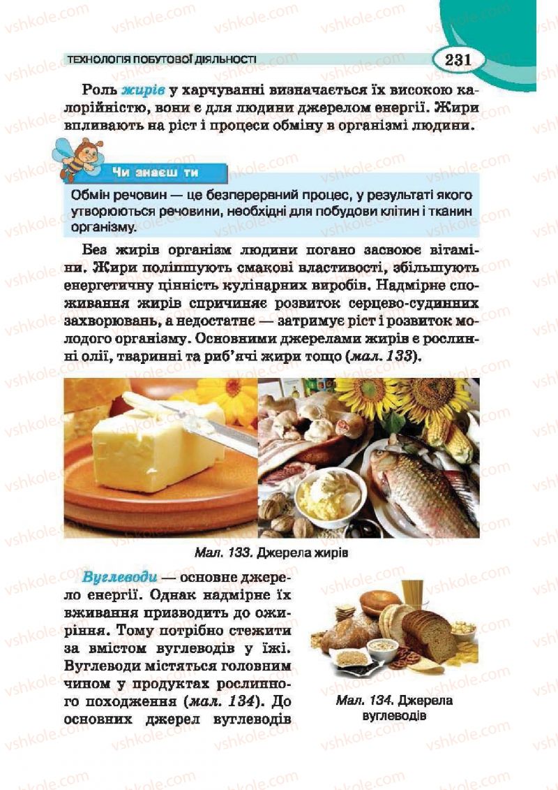 Страница 231 | Підручник Трудове навчання 6 клас В.К. Сидоренко, Т.С, Мачача, С.П. Павх 2014 Для дівчат