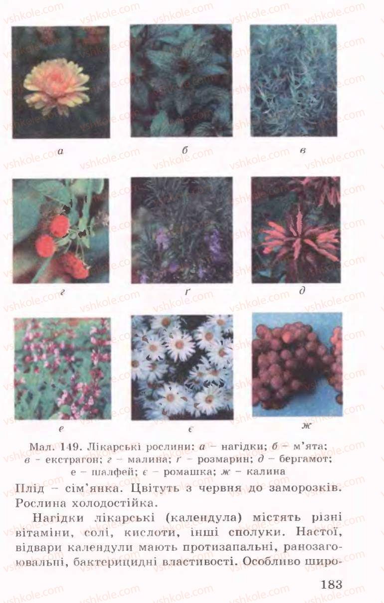 Страница 183 | Підручник Трудове навчання 6 клас Б.М.Терещук, В.І. Туташинський, В.К.Сидоренко 2006 Технічні види праці
