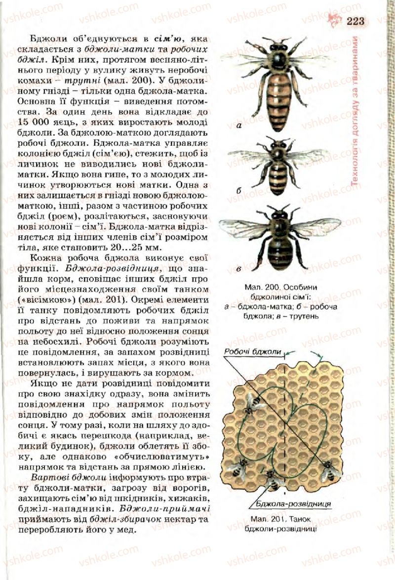 Страница 223 | Підручник Трудове навчання 7 клас Б.М. Терещук, В.І. Туташинський, В.К. Загорний 2007 Технічні види праці