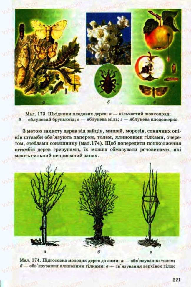 Страница 221 | Підручник Трудове навчання 8 клас Т.С. Мачача, Л.I. Денисенко, О.П. Гнеденко 2008 Обслуговуючі види праці