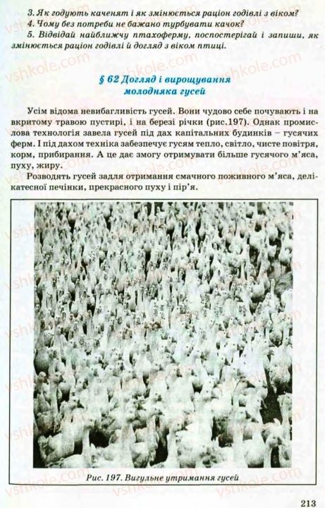 Страница 213 | Підручник Трудове навчання 8 клас В.М. Мадзігон, Г.А. Кондратюк, Г.Є. Левченко 2008 Технічні види праці