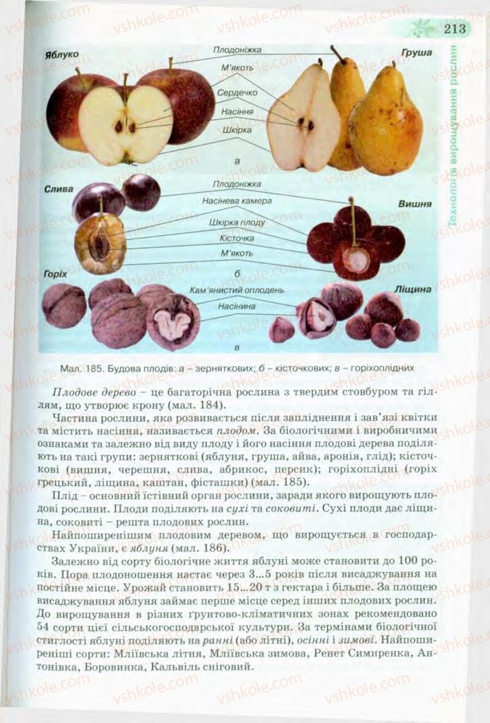 Страница 213 | Підручник Трудове навчання 8 клас Б.М. Терещук, В.І. Туташинський, В.К. Загорний 2008 Технічні види праці