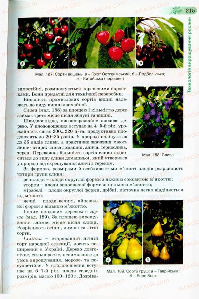 Страница 215 | Підручник Трудове навчання 8 клас Б.М. Терещук, В.І. Туташинський, В.К. Загорний 2008 Технічні види праці
