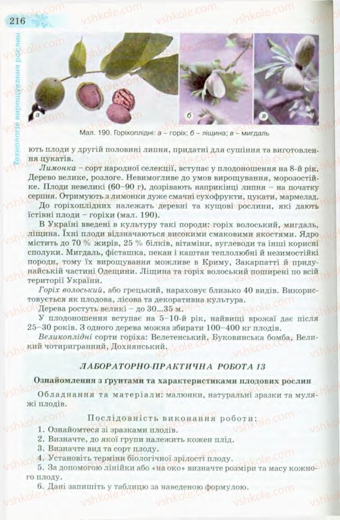 Страница 216 | Підручник Трудове навчання 8 клас Б.М. Терещук, В.І. Туташинський, В.К. Загорний 2008 Технічні види праці