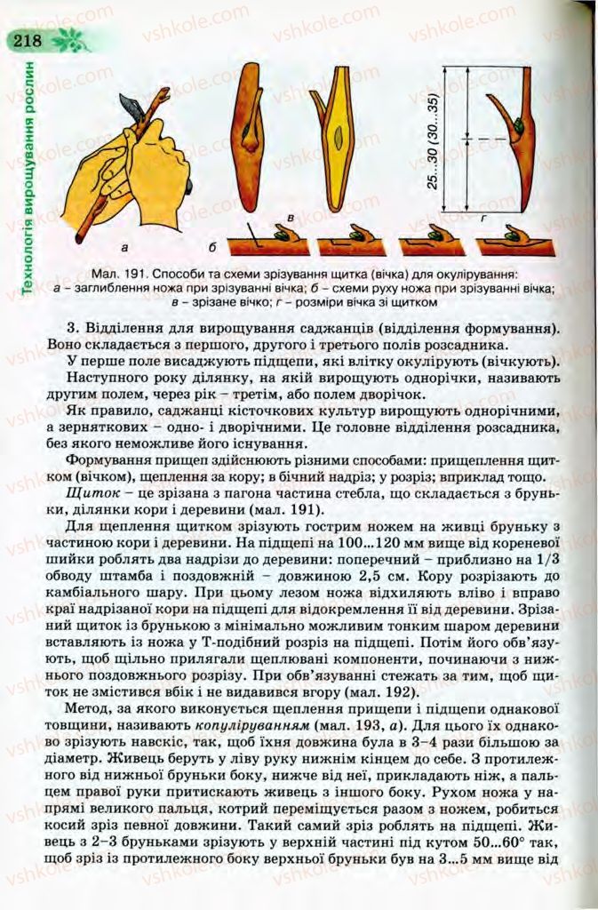 Страница 218 | Підручник Трудове навчання 8 клас Б.М. Терещук, В.І. Туташинський, В.К. Загорний 2008 Технічні види праці