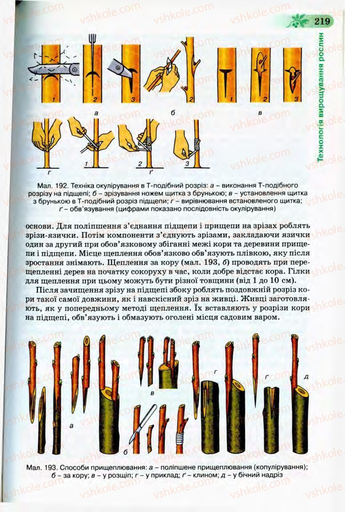 Страница 219 | Підручник Трудове навчання 8 клас Б.М. Терещук, В.І. Туташинський, В.К. Загорний 2008 Технічні види праці