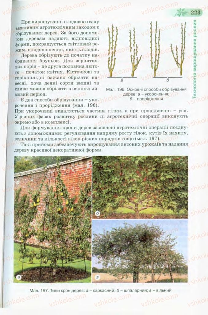Страница 223 | Підручник Трудове навчання 8 клас Б.М. Терещук, В.І. Туташинський, В.К. Загорний 2008 Технічні види праці