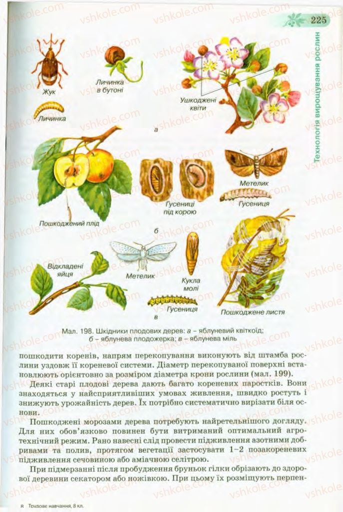 Страница 225 | Підручник Трудове навчання 8 клас Б.М. Терещук, В.І. Туташинський, В.К. Загорний 2008 Технічні види праці