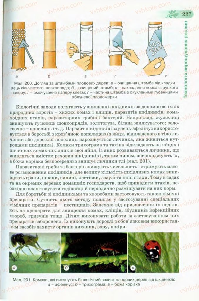 Страница 227 | Підручник Трудове навчання 8 клас Б.М. Терещук, В.І. Туташинський, В.К. Загорний 2008 Технічні види праці