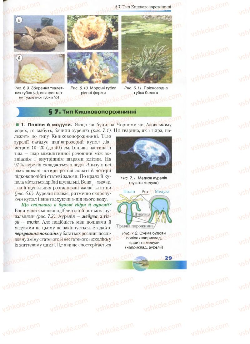 Страница 29 | Підручник Біологія 7 клас Д.А. Шабанов, М.О. Кравченко 2015