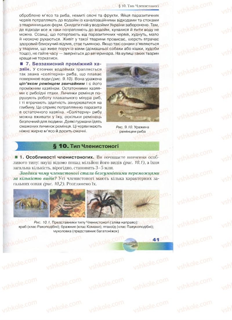 Страница 41 | Підручник Біологія 7 клас Д.А. Шабанов, М.О. Кравченко 2015