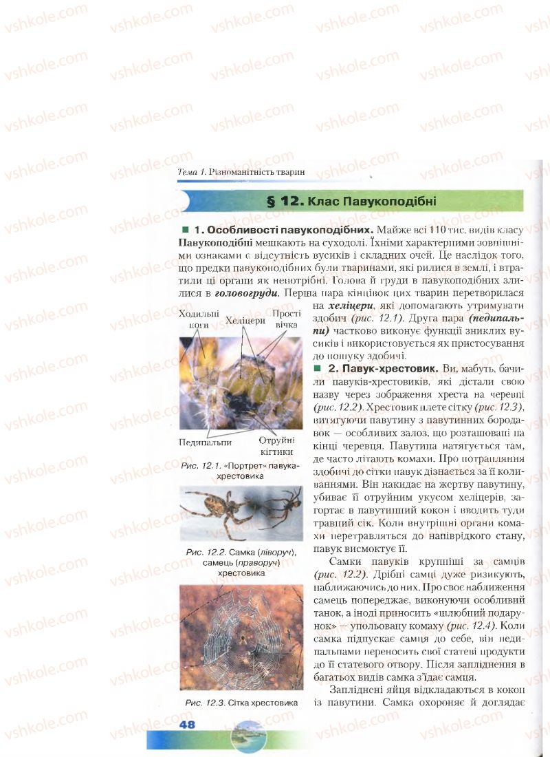 Страница 48 | Підручник Біологія 7 клас Д.А. Шабанов, М.О. Кравченко 2015