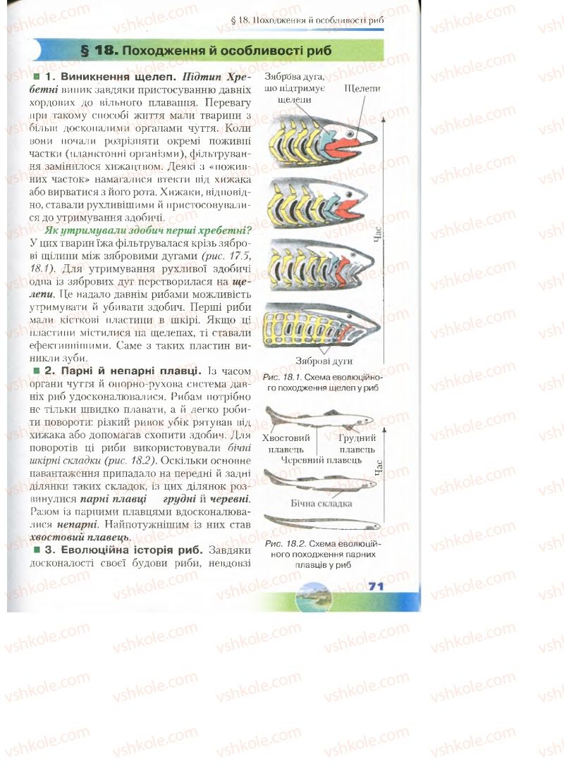 Страница 71 | Підручник Біологія 7 клас Д.А. Шабанов, М.О. Кравченко 2015