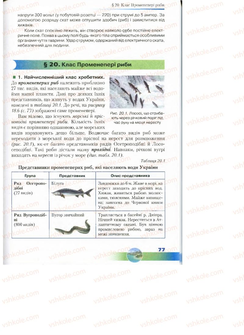 Страница 77 | Підручник Біологія 7 клас Д.А. Шабанов, М.О. Кравченко 2015