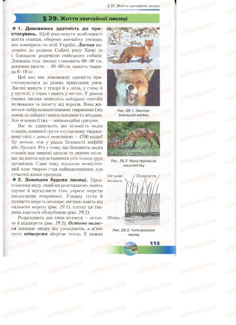 Страница 115 | Підручник Біологія 7 клас Д.А. Шабанов, М.О. Кравченко 2015