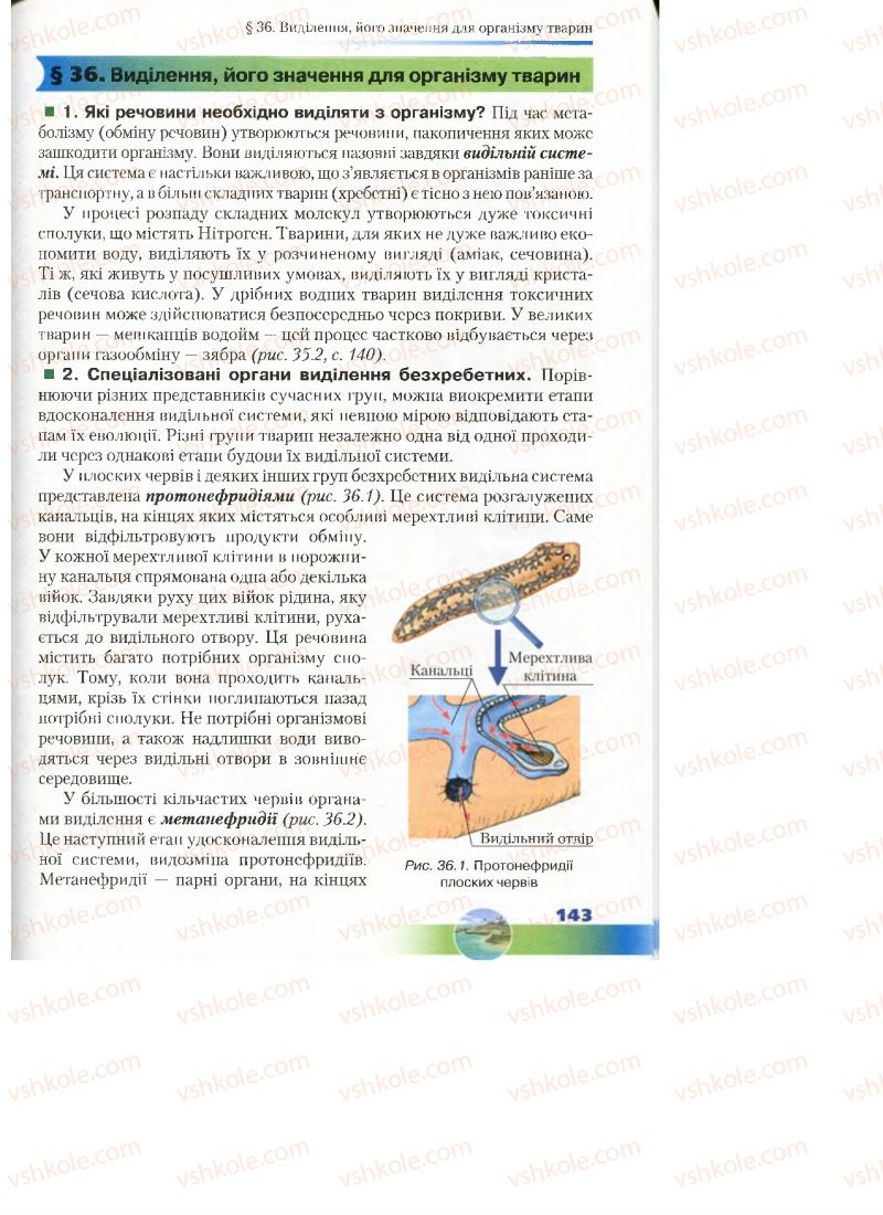 Страница 143 | Підручник Біологія 7 клас Д.А. Шабанов, М.О. Кравченко 2015