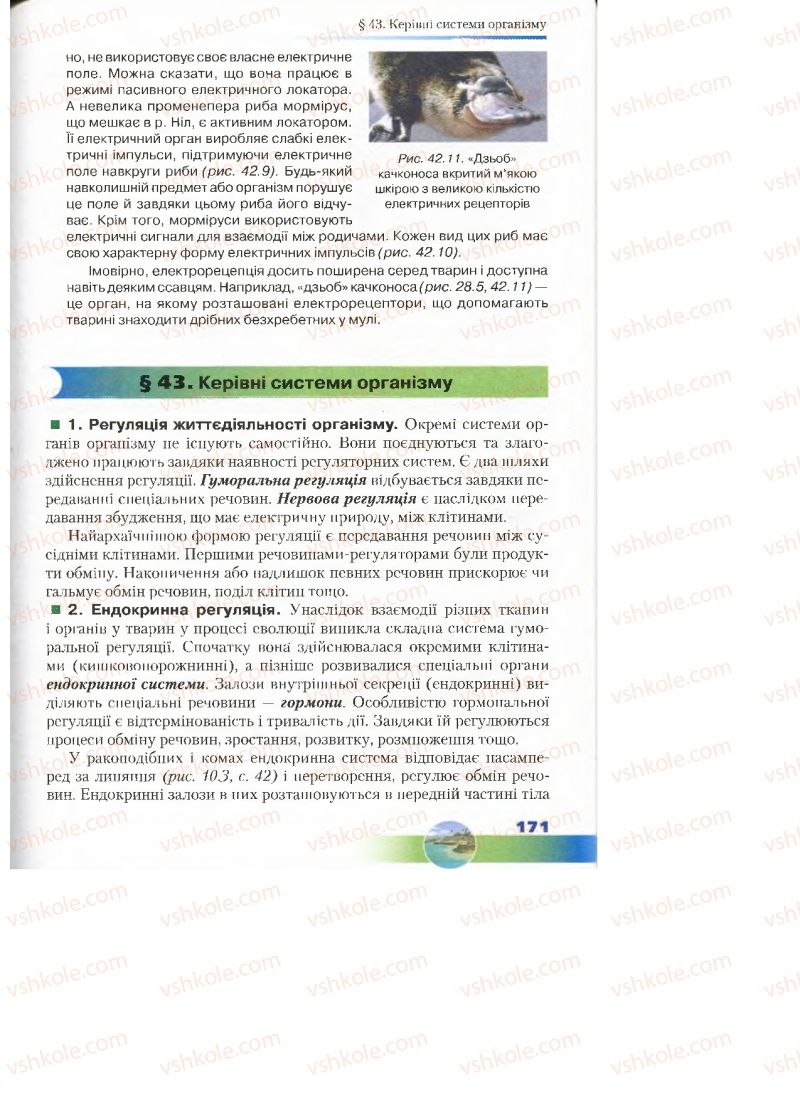 Страница 171 | Підручник Біологія 7 клас Д.А. Шабанов, М.О. Кравченко 2015