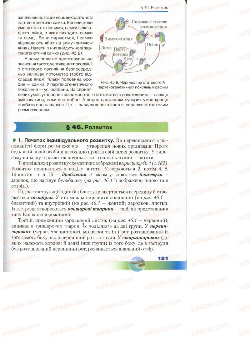 Страница 181 | Підручник Біологія 7 клас Д.А. Шабанов, М.О. Кравченко 2015