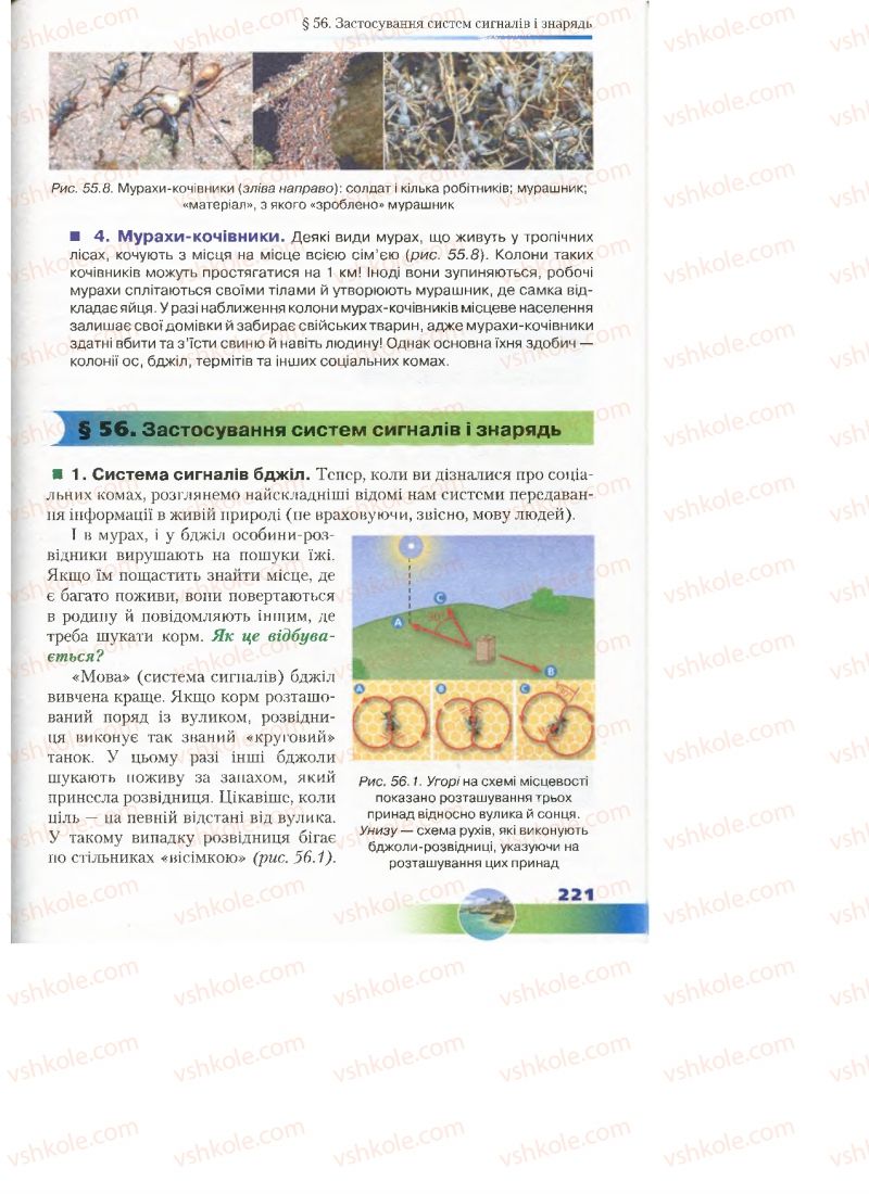 Страница 221 | Підручник Біологія 7 клас Д.А. Шабанов, М.О. Кравченко 2015