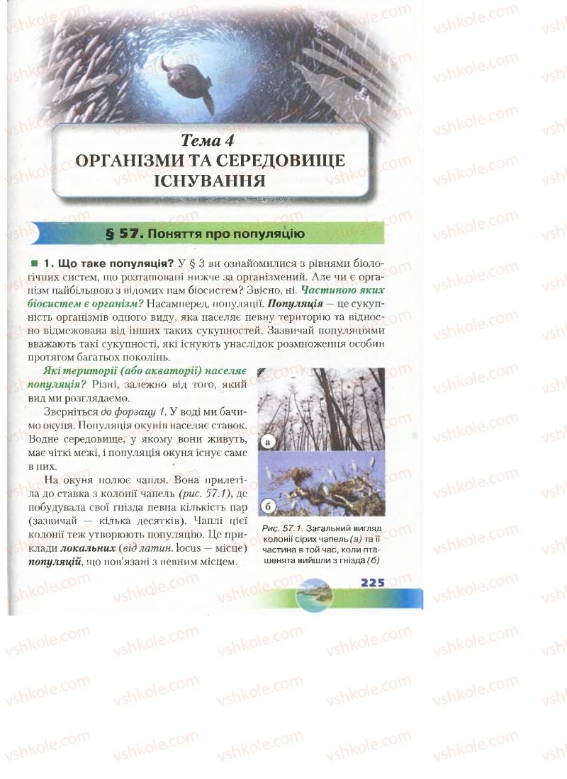 Страница 225 | Підручник Біологія 7 клас Д.А. Шабанов, М.О. Кравченко 2015