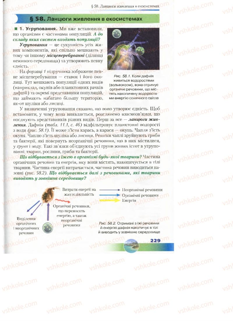 Страница 229 | Підручник Біологія 7 клас Д.А. Шабанов, М.О. Кравченко 2015