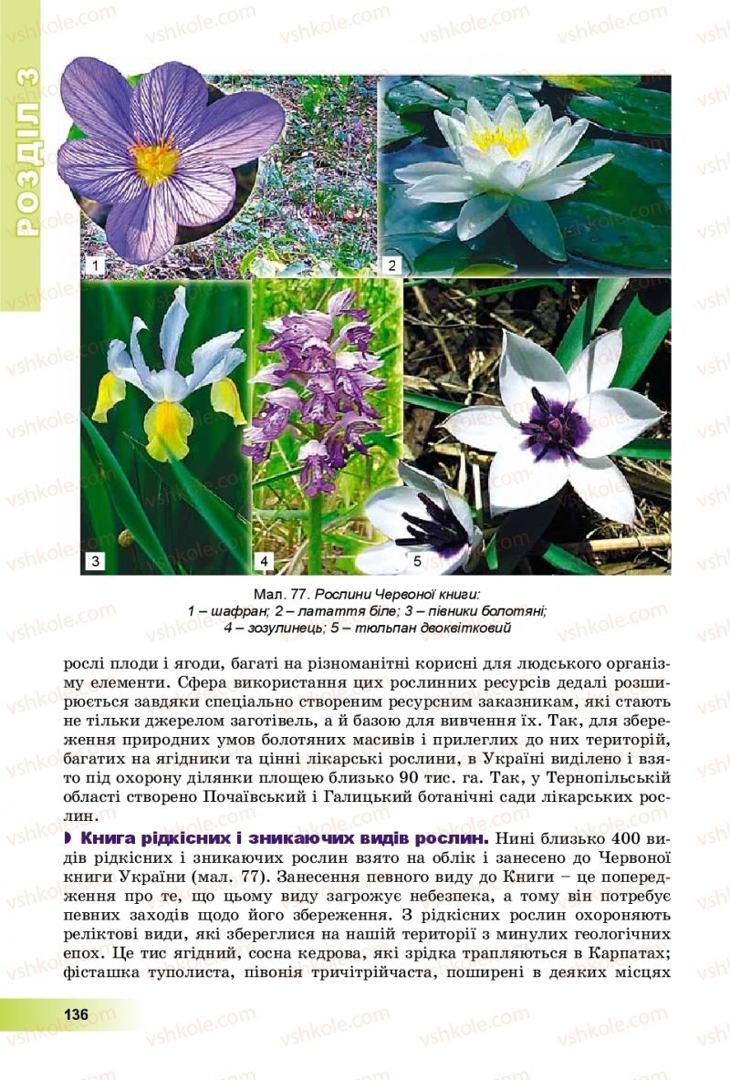 Страница 136 | Підручник Географія 8 клас В.Ю. Пестушко, Г.Ш. Уварова, А.І. Довгань 2016