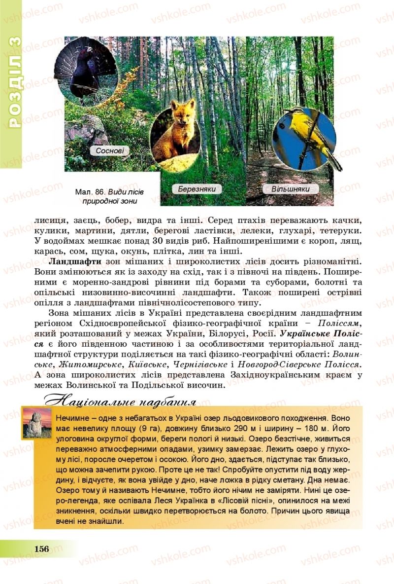 Страница 156 | Підручник Географія 8 клас В.Ю. Пестушко, Г.Ш. Уварова, А.І. Довгань 2016