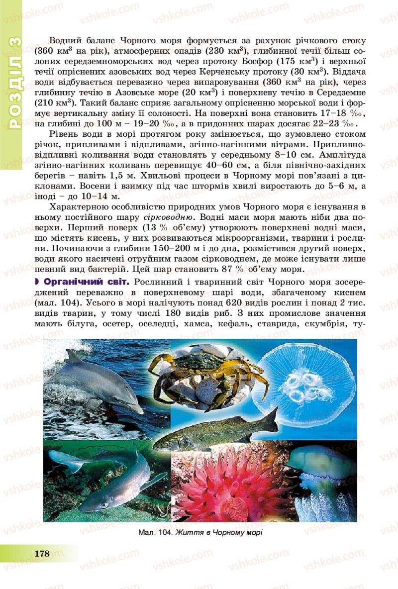 Страница 178 | Підручник Географія 8 клас В.Ю. Пестушко, Г.Ш. Уварова, А.І. Довгань 2016