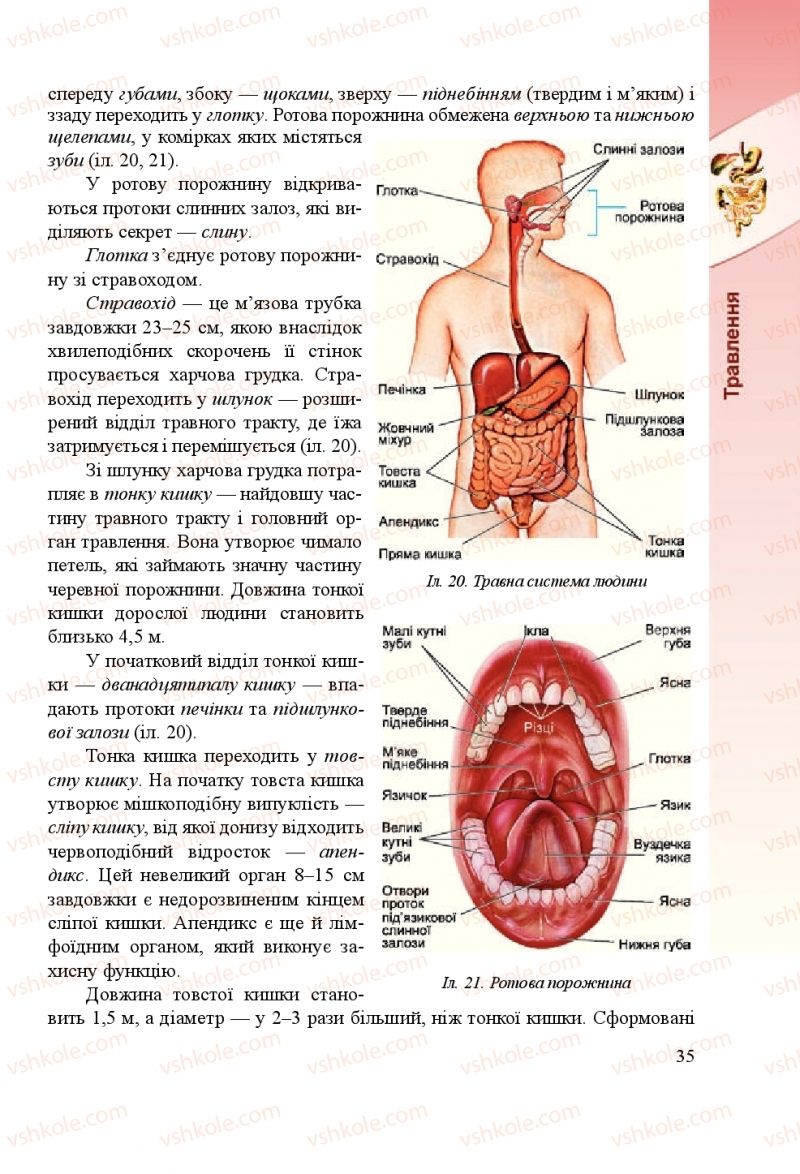 Страница 35 | Підручник Біологія 8 клас Н.Й. Міщук, Г.Я. Жирська, А.В. Степанюк, Л.С. Барна 2016