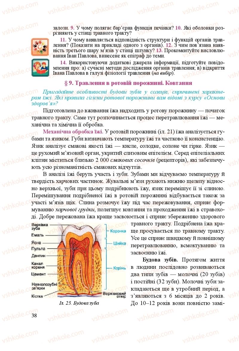 Страница 38 | Підручник Біологія 8 клас Н.Й. Міщук, Г.Я. Жирська, А.В. Степанюк, Л.С. Барна 2016