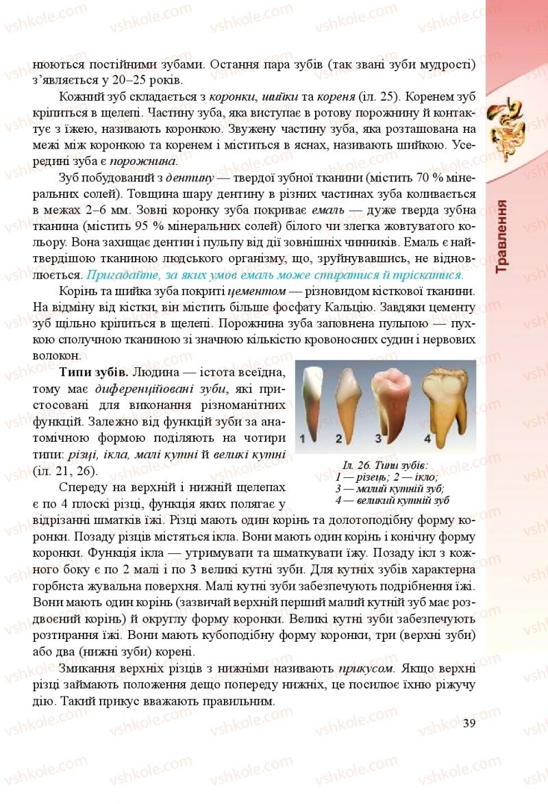 Страница 39 | Підручник Біологія 8 клас Н.Й. Міщук, Г.Я. Жирська, А.В. Степанюк, Л.С. Барна 2016