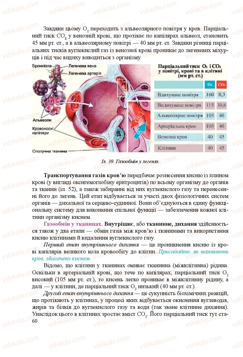 Страница 60 | Підручник Біологія 8 клас Н.Й. Міщук, Г.Я. Жирська, А.В. Степанюк, Л.С. Барна 2016