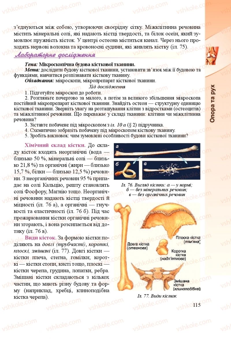 Страница 115 | Підручник Біологія 8 клас Н.Й. Міщук, Г.Я. Жирська, А.В. Степанюк, Л.С. Барна 2016