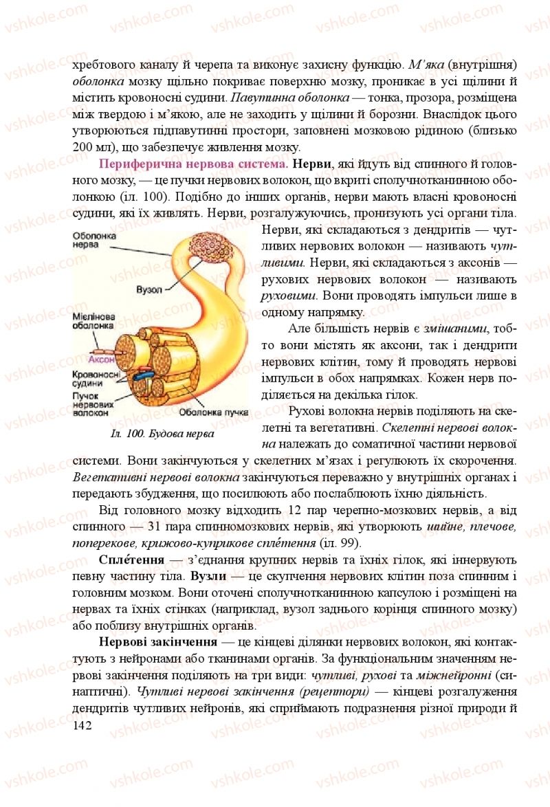 Страница 142 | Підручник Біологія 8 клас Н.Й. Міщук, Г.Я. Жирська, А.В. Степанюк, Л.С. Барна 2016