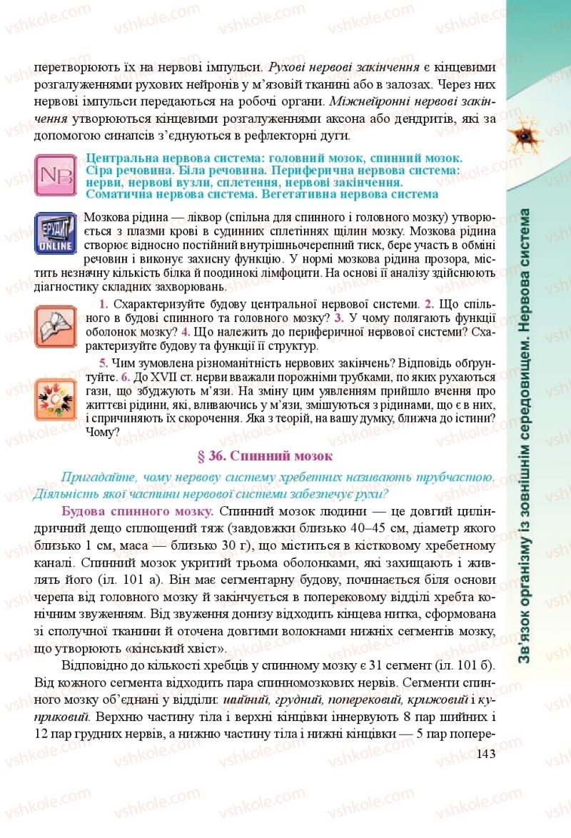 Страница 143 | Підручник Біологія 8 клас Н.Й. Міщук, Г.Я. Жирська, А.В. Степанюк, Л.С. Барна 2016