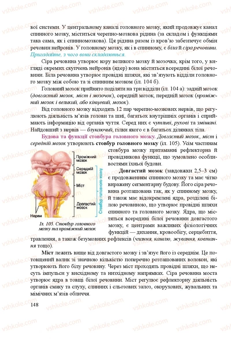 Страница 148 | Підручник Біологія 8 клас Н.Й. Міщук, Г.Я. Жирська, А.В. Степанюк, Л.С. Барна 2016