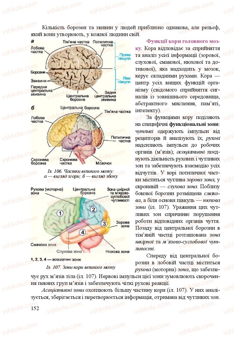 Страница 152 | Підручник Біологія 8 клас Н.Й. Міщук, Г.Я. Жирська, А.В. Степанюк, Л.С. Барна 2016