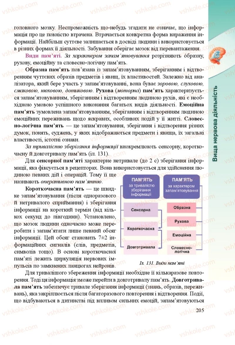 Страница 205 | Підручник Біологія 8 клас Н.Й. Міщук, Г.Я. Жирська, А.В. Степанюк, Л.С. Барна 2016