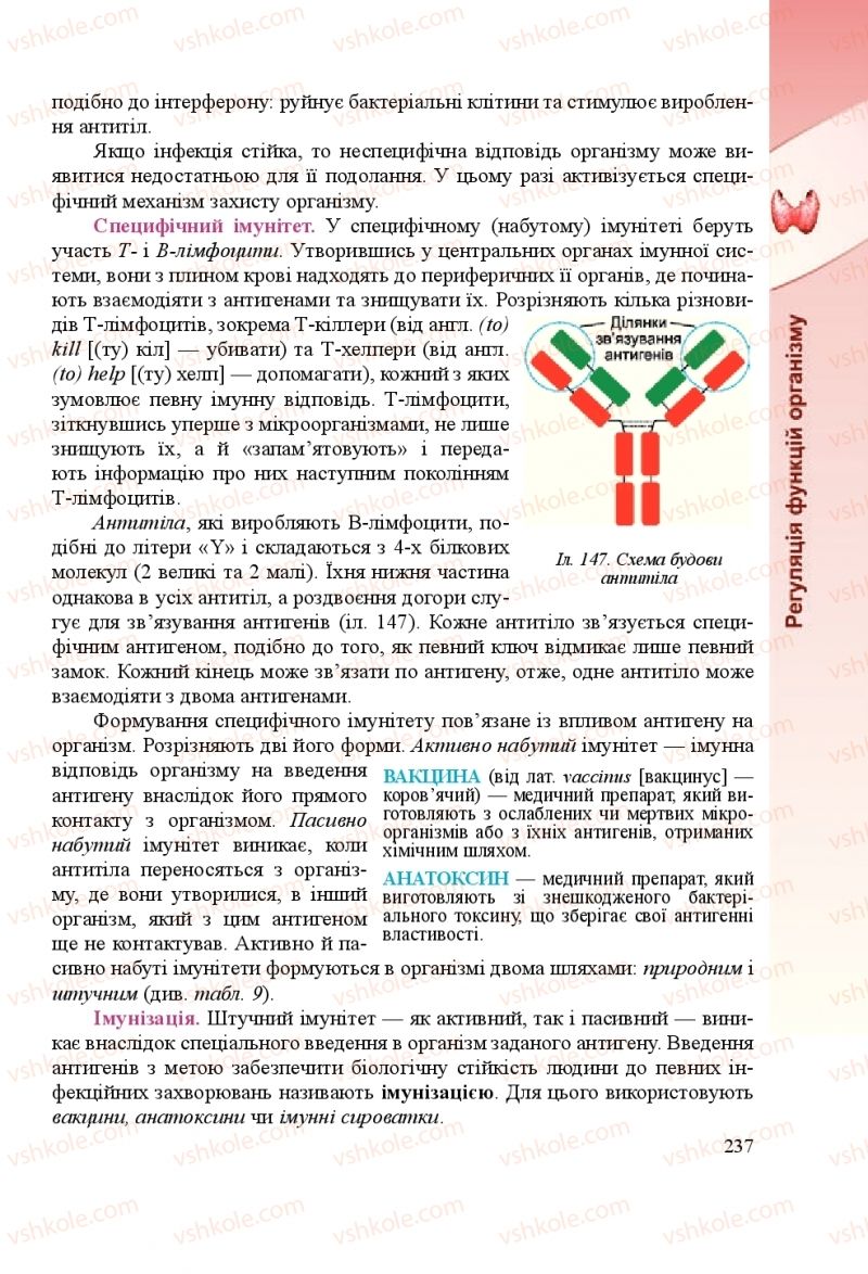 Страница 237 | Підручник Біологія 8 клас Н.Й. Міщук, Г.Я. Жирська, А.В. Степанюк, Л.С. Барна 2016