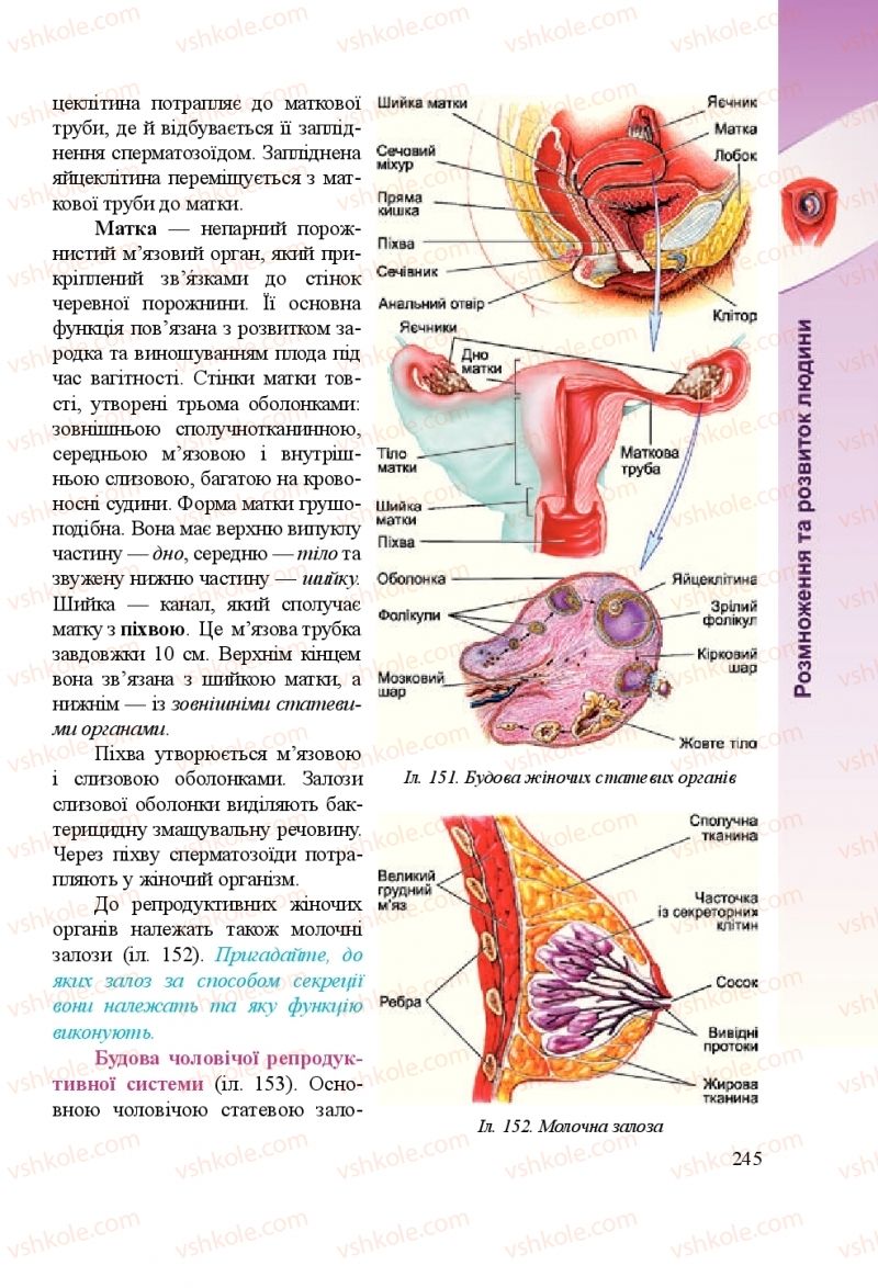 Страница 245 | Підручник Біологія 8 клас Н.Й. Міщук, Г.Я. Жирська, А.В. Степанюк, Л.С. Барна 2016