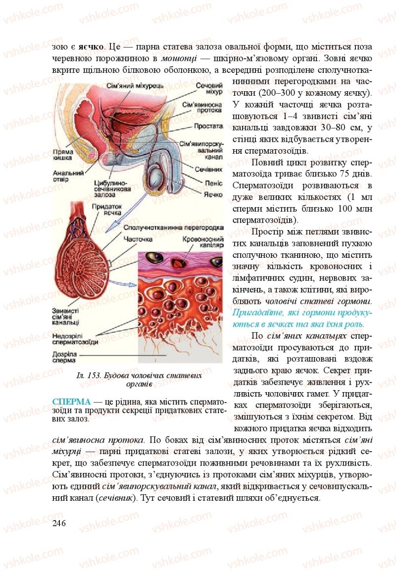 Страница 246 | Підручник Біологія 8 клас Н.Й. Міщук, Г.Я. Жирська, А.В. Степанюк, Л.С. Барна 2016