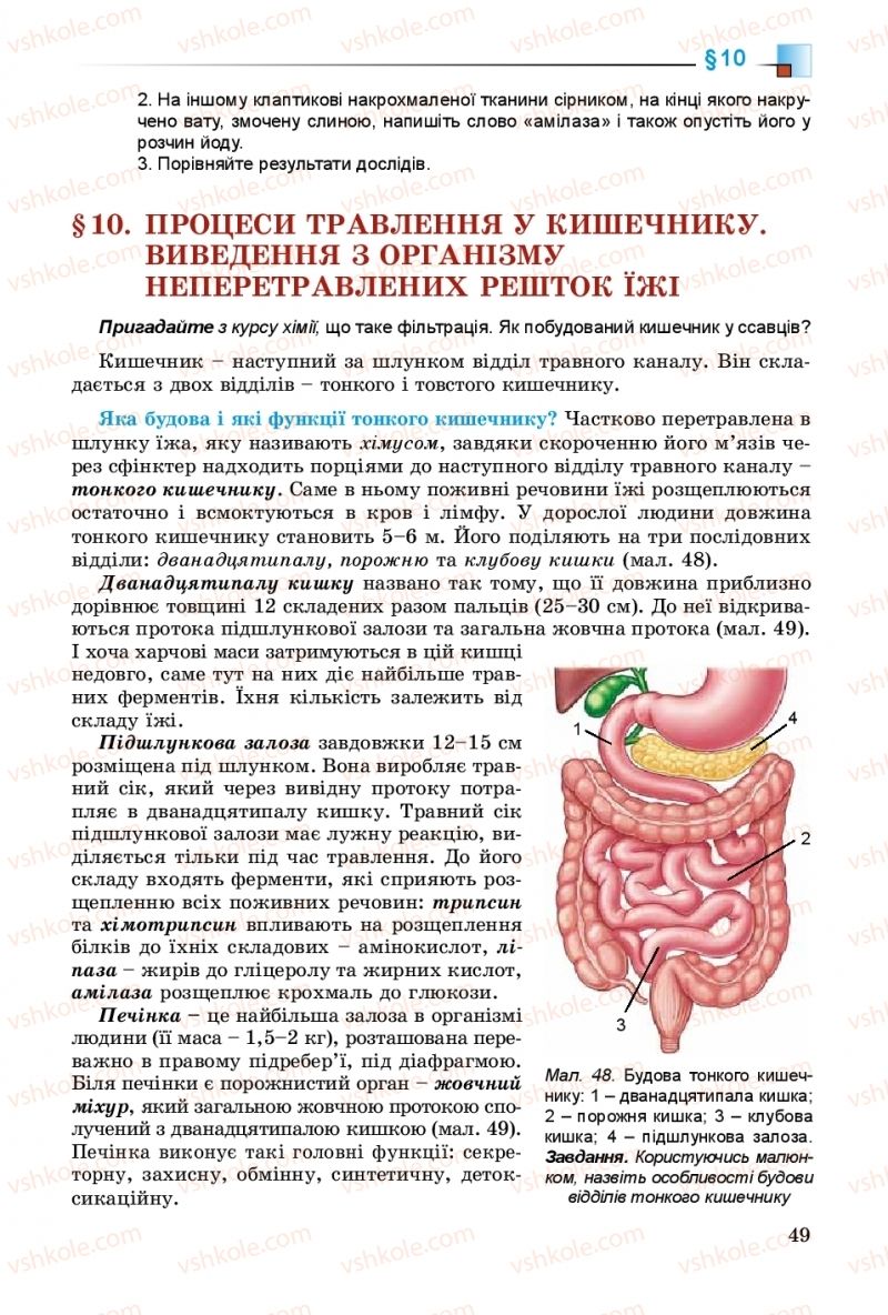 Страница 49 | Підручник Біологія 8 клас Н.Ю. Матяш 2016