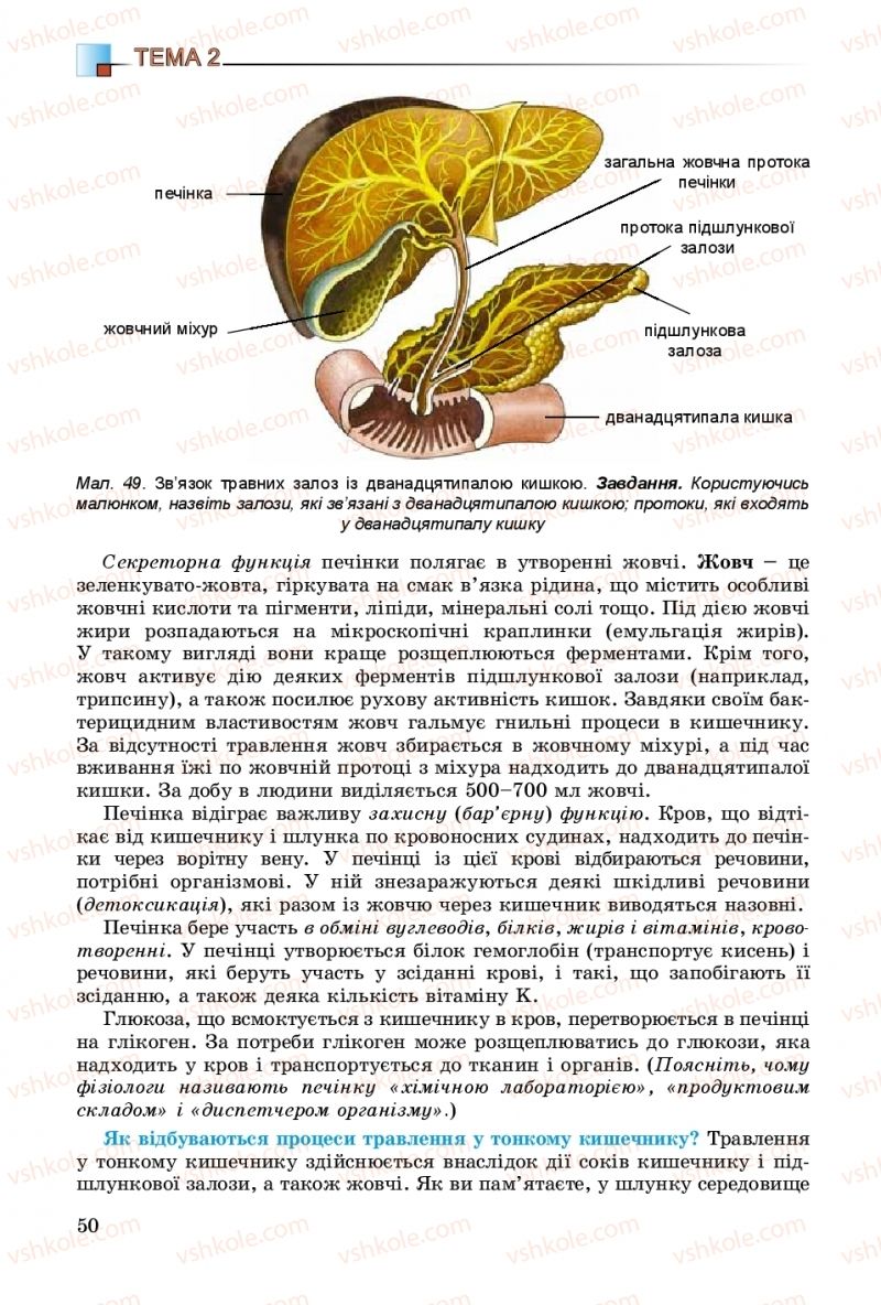 Страница 50 | Підручник Біологія 8 клас Н.Ю. Матяш 2016