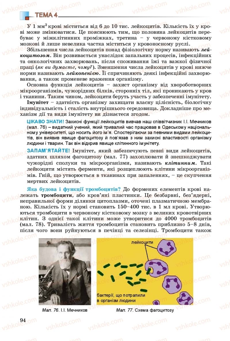 Страница 94 | Підручник Біологія 8 клас Н.Ю. Матяш 2016