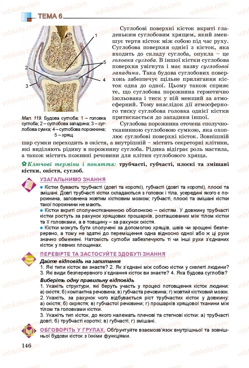 Страница 146 | Підручник Біологія 8 клас Н.Ю. Матяш 2016