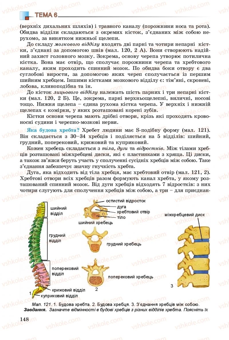 Страница 148 | Підручник Біологія 8 клас Н.Ю. Матяш 2016